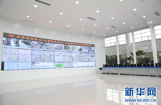 强信心·走进百企丨w66利来药业：“数智化”助力中医药开启发展新篇章